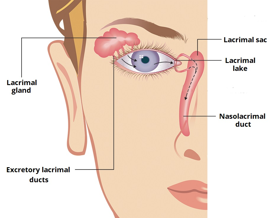 coronavirus eye transmission